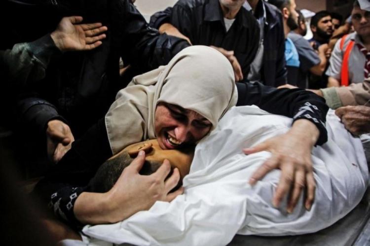 ارتفاع حصيلة الشهداء في قطاع غزة إلى 74,594 والإصابات إلى 175,834 منذ بدء العدوان ارتفاع حصيلة الشهداء في قطاع غزة إلى 74,594 والإصابات إلى 175,834 منذ بدء العدوان