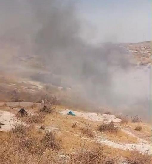 مستوطنون يحرقون نحو 55 شجرة زيتون في بلدة أبو ديس مستوطنون يحرقون نحو 55 شجرة زيتون في بلدة أبو ديس