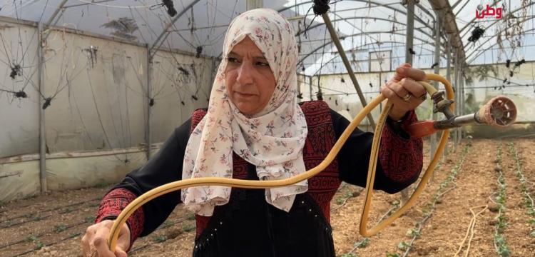 فاتن أبو عطوان تتحدى الصعوبات وتبني مشروعها الخاص فاتن أبو عطوان تتحدى الصعوبات وتبني مشروعها الخاص
