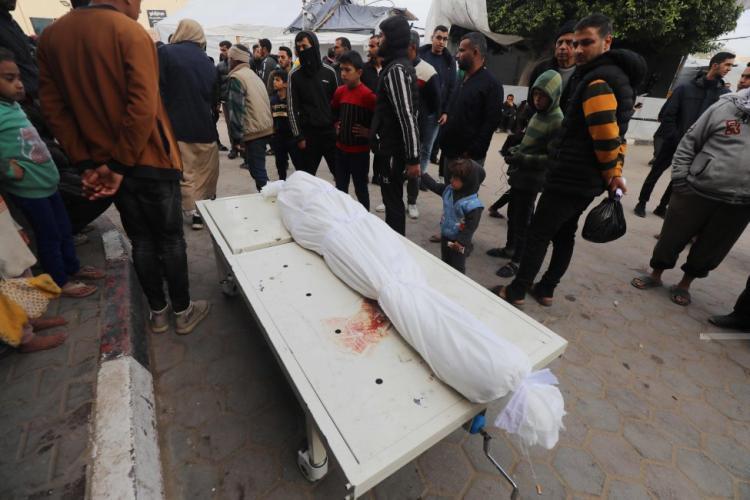 شهيد وأكثر من 5 مصابين في قصف للاحتلال على مواصي خان يونس شهيد وأكثر من 5 مصابين في قصف للاحتلال على مواصي خان يونس