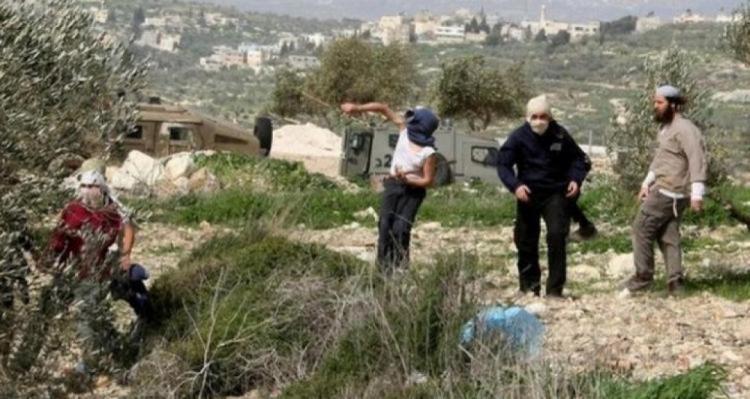 5 إصابات باعتداء للمستوطنين على مزارعين في سبسطية