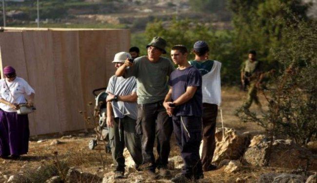 مستوطنون في محاصيل المواطنين بالأغوار