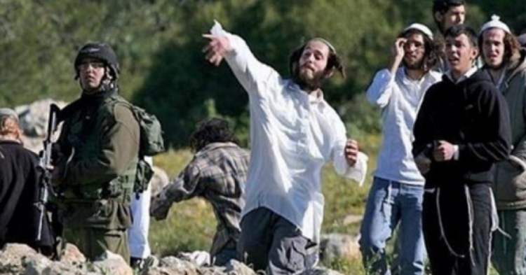 مستوطنون يحاصرون منزلين ويفككون حمايات النوافذ والأبواب في خلة الحمص بالخليل مستوطنون يحاصرون منزلين ويفككون حمايات النوافذ والأبواب في خلة الحمص بالخليل