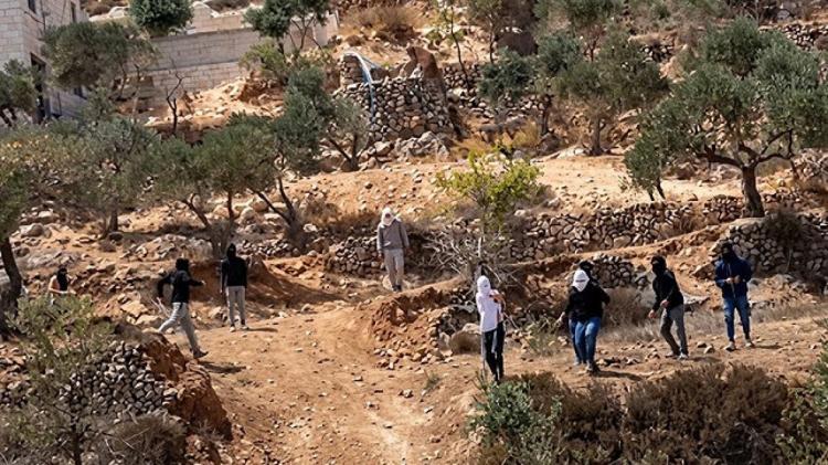 للمرة الخامسة: مستوطنون يقطعون الكهرباء عن منطقة المسعودية في برقة للمرة الخامسة: مستوطنون يقطعون الكهرباء عن منطقة المسعودية في برقة
