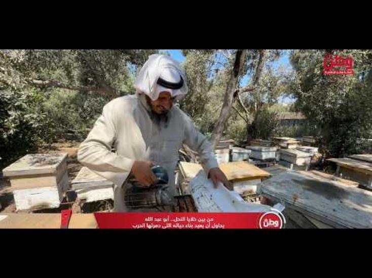 من بين خلايا النحل.. أبو عبد الله يحاول أن يعيد بناء حياته التي دمرتها الحرب من بين خلايا النحل.. أبو عبد الله يحاول أن يعيد بناء حياته التي دمرتها الحرب