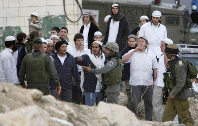 مستوطنون يهاجمون مواطنين وعمال بناء في تل ارميدة بالخليل