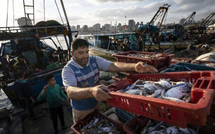 الاحتلال يقرر توسيع مساحة الصيد وزيادة الصادرات والواردات من غزة الاحتلال يقرر توسيع مساحة الصيد وزيادة الصادرات والواردات من غزة