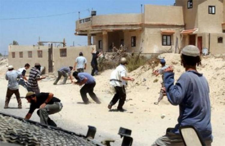 مستوطنون يهاجمون منازل المواطنين في مدينة الخليل