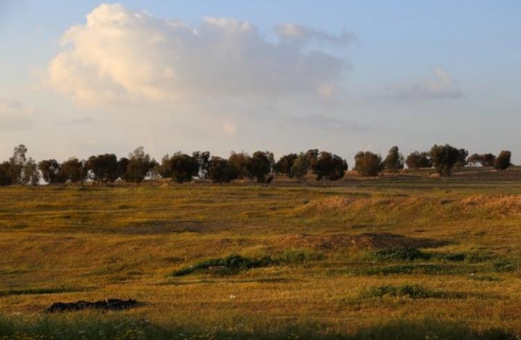 حالة الطقس: أجواء حارة رغم انخفاض الحرارة حالة الطقس: أجواء حارة رغم انخفاض الحرارة