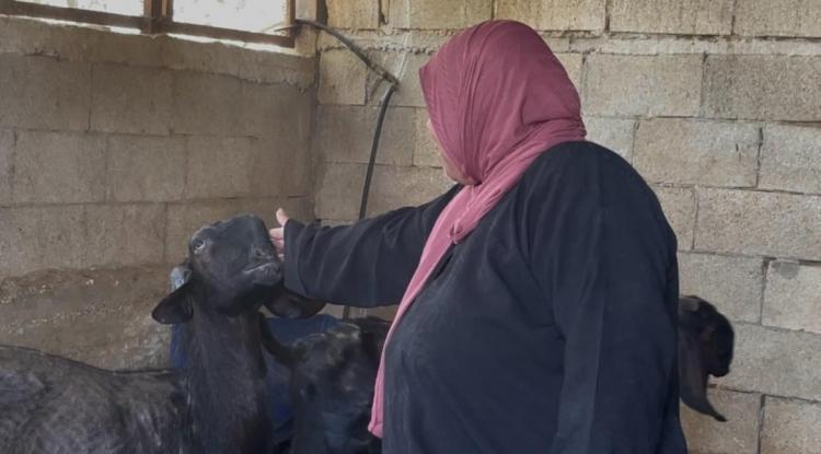 أم إسراء.. من خلية نحل إلى قصة نجاح تُضيء مستقبل ست بنات