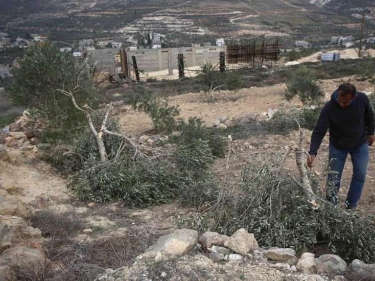 الاحتلال يخطر مواطنا بإخلاء أرضه في بلدة الخضر جنوب بيت لحم الاحتلال يخطر مواطنا بإخلاء أرضه في بلدة الخضر جنوب بيت لحم