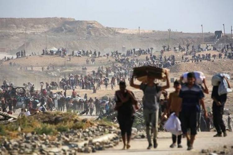خالد فحل يكتب لوطن: حين يصبح التهجير مشروعًا أوروبيًا