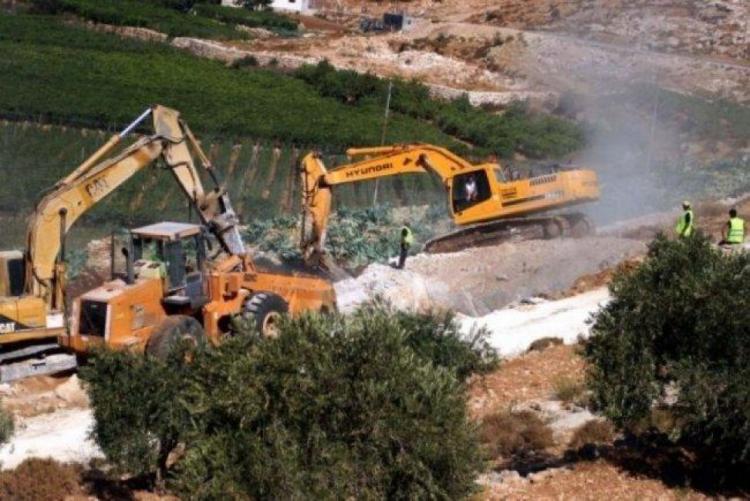جرافات الاحتلال تشرع بتجريف أراضٍ واقتلاع أشجار زيتون في عنزا جنوب جنين
