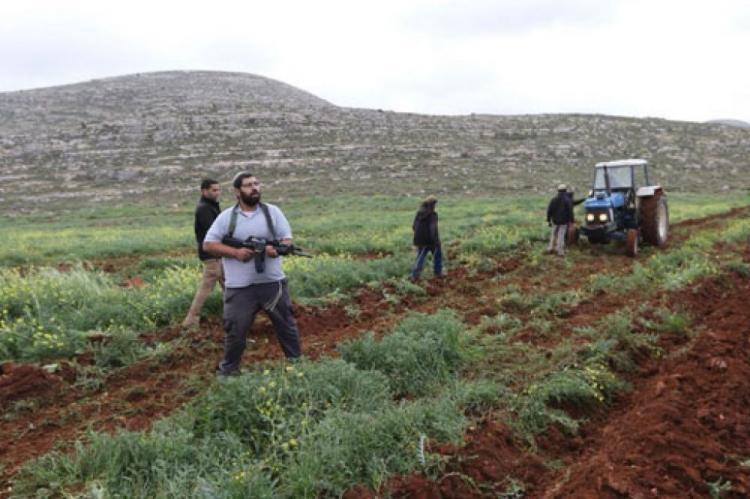 الخارجية تدين جرائم الاحتلال والمستوطنين بحق المزارعين خلال موسم قطف الزيتون