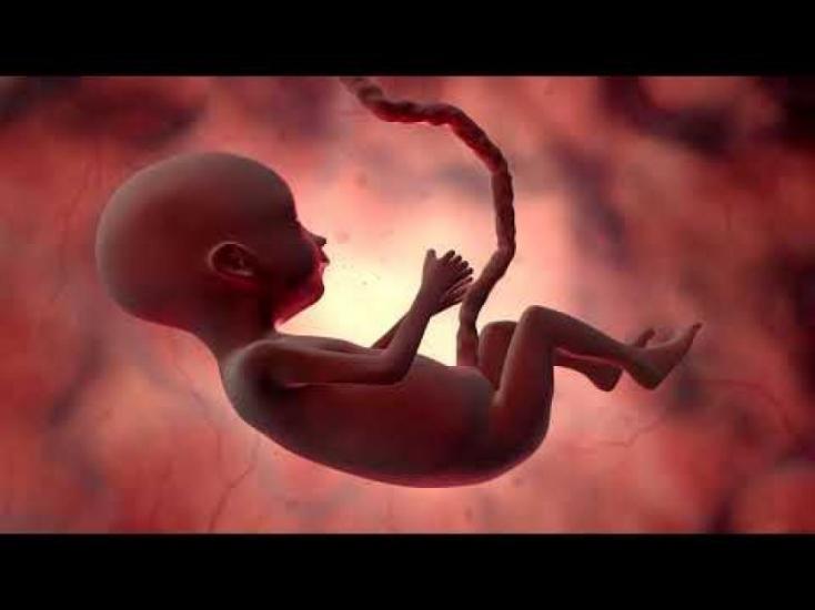 القطاعات الأكثر تضررًا من أزمة فايروس كورونا