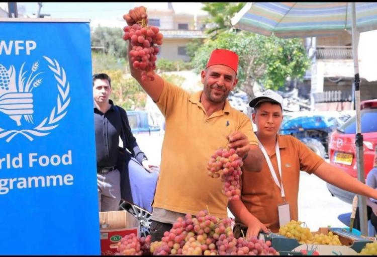 الإغاثة الزراعية لـوطن: أيام العنب التسويقية في بيت لحم.. 45 طناً من العنب الطازج تُنعش السوق وتساند المزارعين