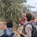 إصابات بالاختناق جراء هجوم للمستوطنين على مواطنين ونشطاء أجانب غرب رام الله