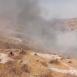 مستوطنون يحرقون نحو 55 شجرة زيتون في بلدة أبو ديس