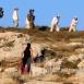 مستوطنون يقتحمون أطراف قرية المغير