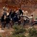 مستوطنون يهاجمون مركبات المواطنين بين قريتي المغير وأبو فلاح شمال شرق رام الله
