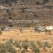 مستوطنون يقيمون بؤرة استيطانية جديدة غرب رام الله