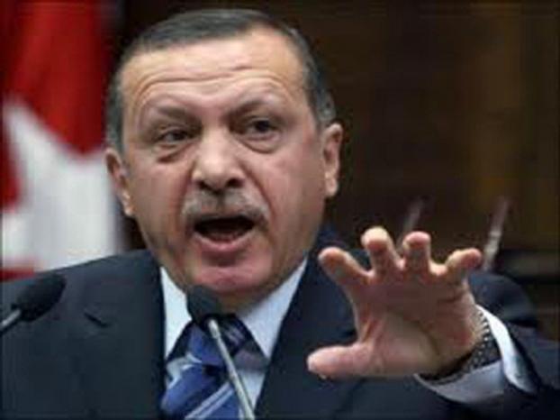 إردوغان يدعو لوقف وصف المقاومة الفلسطينية بالإرهاب