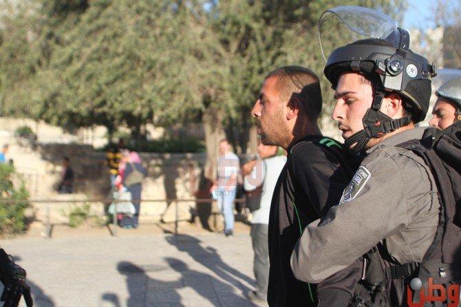 اعتقال 3 شبان من العيسوية في القدس