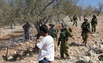 الخليل: قوات الاحتلال تعتقل فتيين شرق يطا