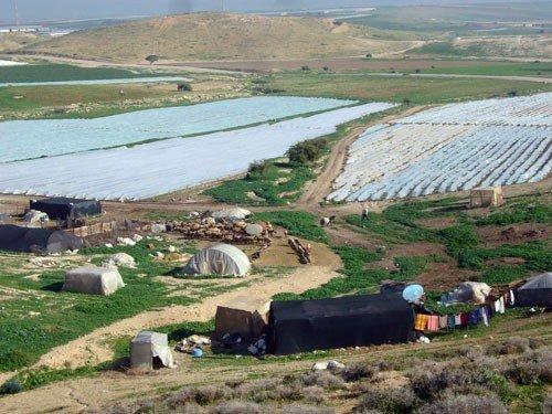 معلومات وإحصائيات عن الأغوار معلومات وإحصائيات عن الأغوار