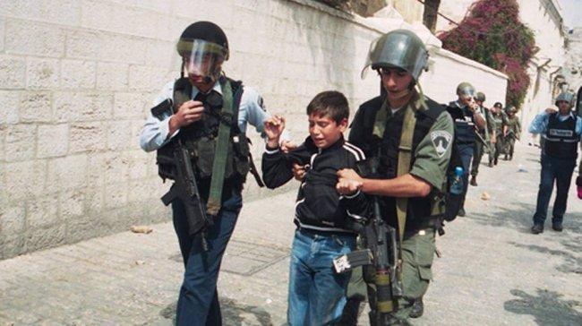 فيديو.. الاحتلال يحتجز طفلا بالخليل