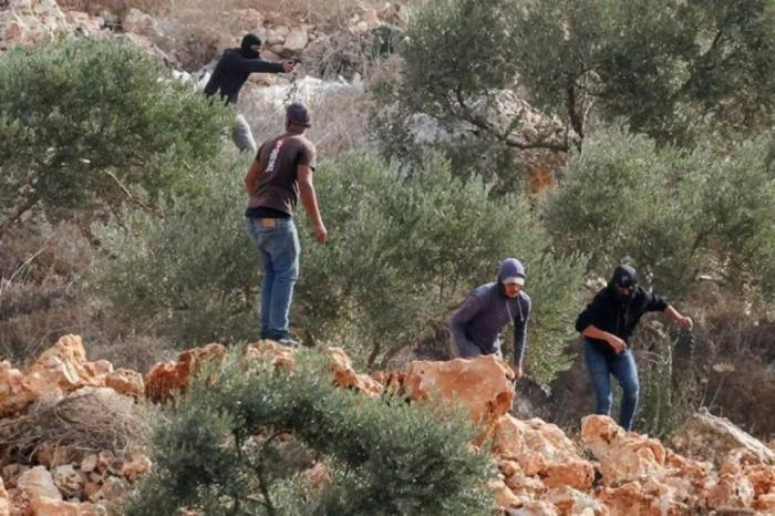 الاحتلال يعتقل متضامنين ومواطنين عقب اعتداء مستوطنين على مسافر يطا الاحتلال يعتقل متضامنين ومواطنين عقب اعتداء مستوطنين على مسافر يطا