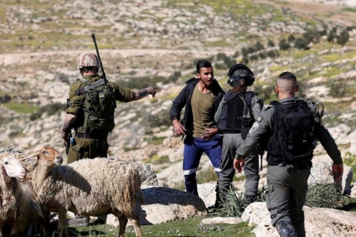 مستوطنون يقتحمون تجمع وادي أبو هندي ويستولون على 130 رأساً من الأغنام مستوطنون يقتحمون تجمع وادي أبو هندي ويستولون على 130 رأساً من الأغنام