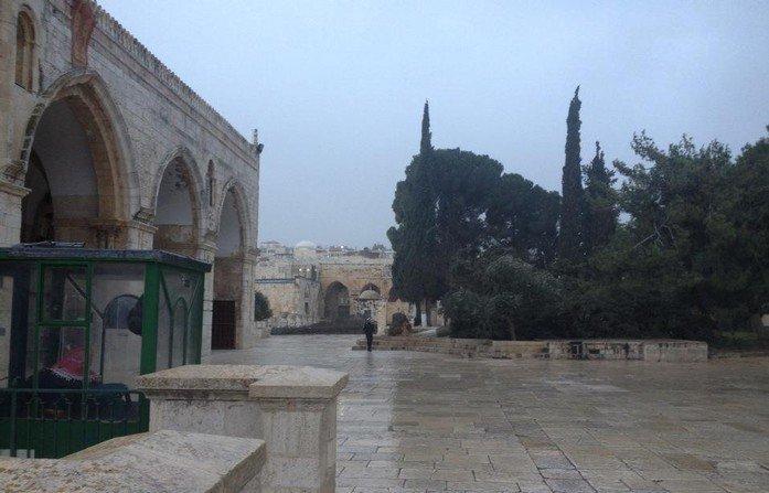 بالصور... سقوط أشجار في محيط الأقصى بسبب الأمطار بالصور... سقوط أشجار في محيط الأقصى بسبب الأمطار