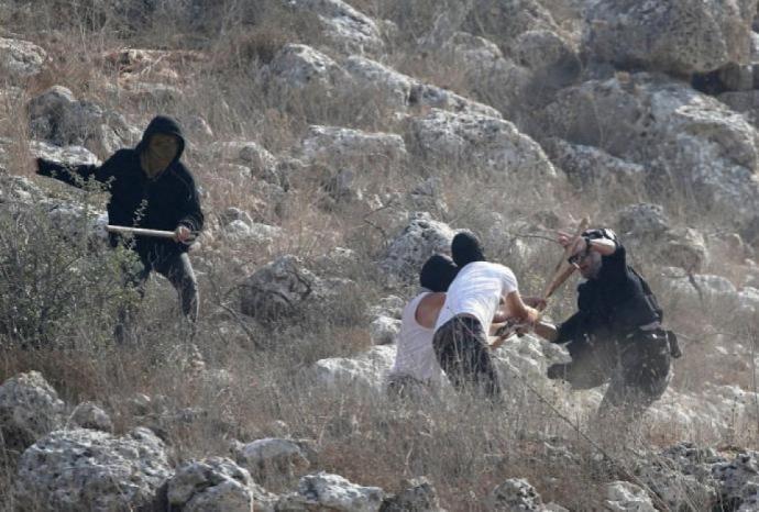 مستوطنون يهاجمون منازل في زعترة شرق بيت لحم ويسرقون أغناما مستوطنون يهاجمون منازل في زعترة شرق بيت لحم ويسرقون أغناما