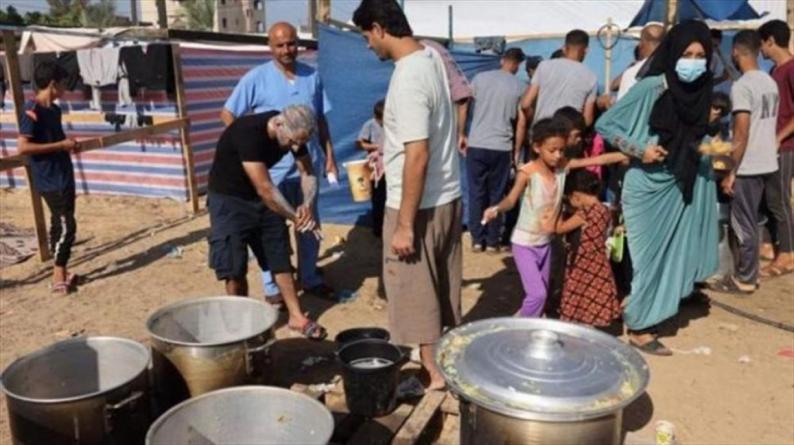 مسؤولة أممية: انعدام الأمن الغذائي يتزايد في قطاع غزة مسؤولة أممية: انعدام الأمن الغذائي يتزايد في قطاع غزة