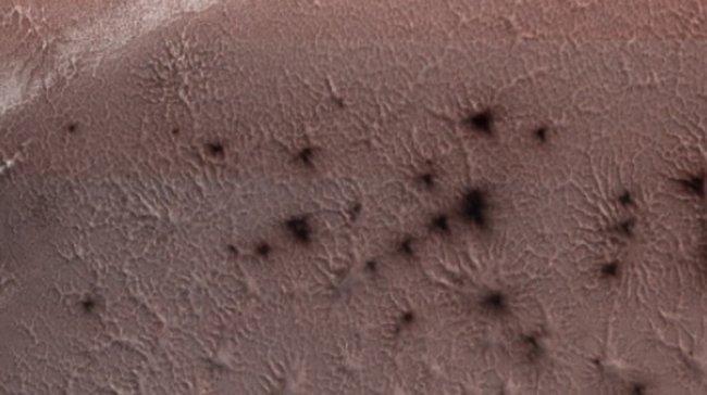 صورة من ناسا.. عناكب فضائية على سطح المريخ