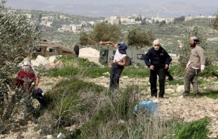 رام الله: مستوطنون يعتدون على مزارعين في بيت عور التحتا بحماية قوات الاحتلال