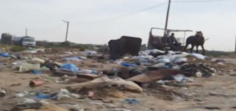خاص لـ "وطن": بالفيديو... حي "النصر" في رفح.. بين تراكم النفايات والتهميش خاص لـ "وطن": بالفيديو... حي "النصر" في رفح.. بين تراكم النفايات والتهميش