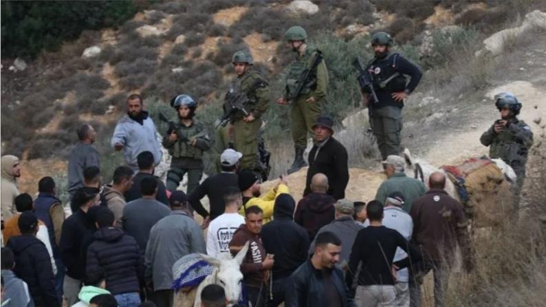 13 اعتداءً للاحتلال والمستوطنين استهدفت قاطفي الزيتون في 4 محافظات 13 اعتداءً للاحتلال والمستوطنين استهدفت قاطفي الزيتون في 4 محافظات