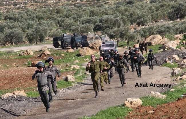 جنود الاحتلال لحظة محاولة اعتقال شاب في قرية المغير شرق رام الله