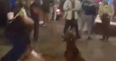 وقفة صامتة أمام الأوبرا احتجاجاً على قتل كلب في القاهرة