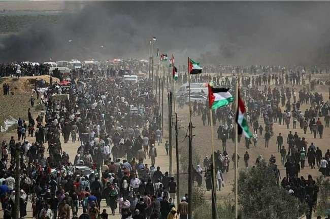 &quot;بتسيلم&quot;: يجب وقف قتل المتظاهرين على حدود غزة فوراً