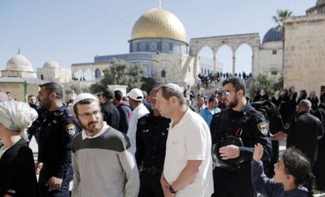 المفتي: سماح محاكم الاحتلال للمستوطنين بالصلاة في القدس القديمة عدوان صارخ على المسلمين