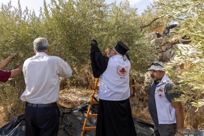 وكالة بيت مال القدس تواصل دعم قاطفي الزيتون ضمن حملة "عونة 2026" وكالة بيت مال القدس تواصل دعم قاطفي الزيتون ضمن حملة "عونة 2026"