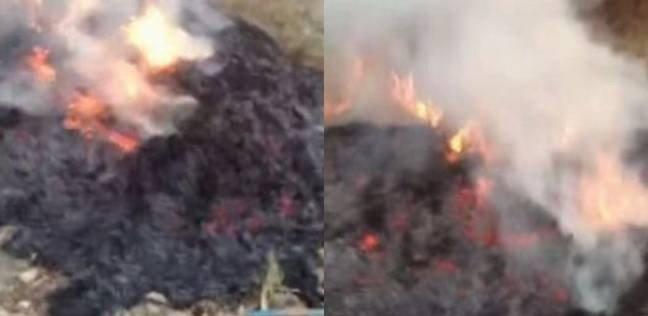 بالفيديو: سعودي يحرق جثة هندي ويوضح الأسباب