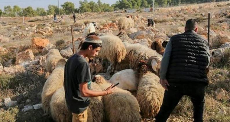 تحذيرات من تصاعد التوسع الاسيتطاني في بيت إكسا شمال القدس تحذيرات من تصاعد التوسع الاسيتطاني في بيت إكسا شمال القدس