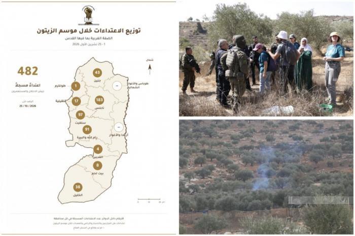 "مقاومة الجدار والاستيطان": من شمال الضفة إلى جنوبها.. 482 اعتداءً على قاطفي الزيتون وأراضيهم "مقاومة الجدار والاستيطان": من شمال الضفة إلى جنوبها.. 482 اعتداءً على قاطفي الزيتون وأراضيهم