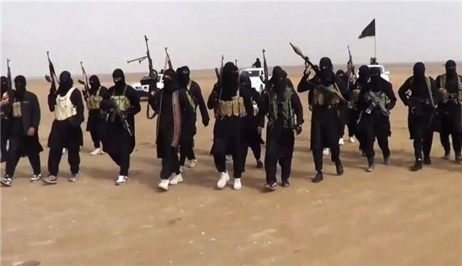 داعش؛ الثورة المسخ .. بقلم: أحمد سعيد قاضي داعش؛ الثورة المسخ .. بقلم: أحمد سعيد قاضي