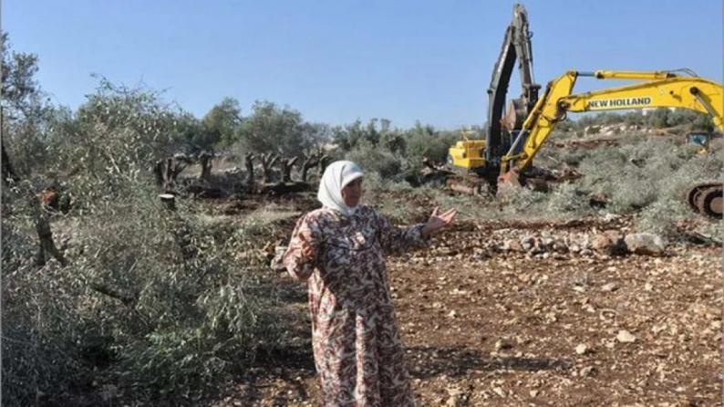 الاحتلال يهدم منشآت زراعية ويقتلع مئات الأشجار ويجرف أراضي شمال الخليل الاحتلال يهدم منشآت زراعية ويقتلع مئات الأشجار ويجرف أراضي شمال الخليل