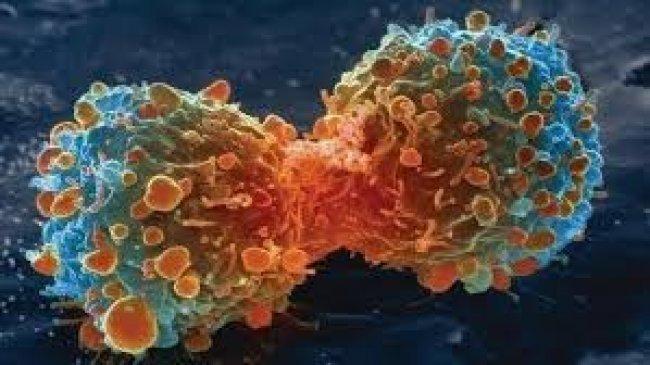 فيديو | علماء يبتكرون بروتينا فعالا ضد الخلايا السرطانية